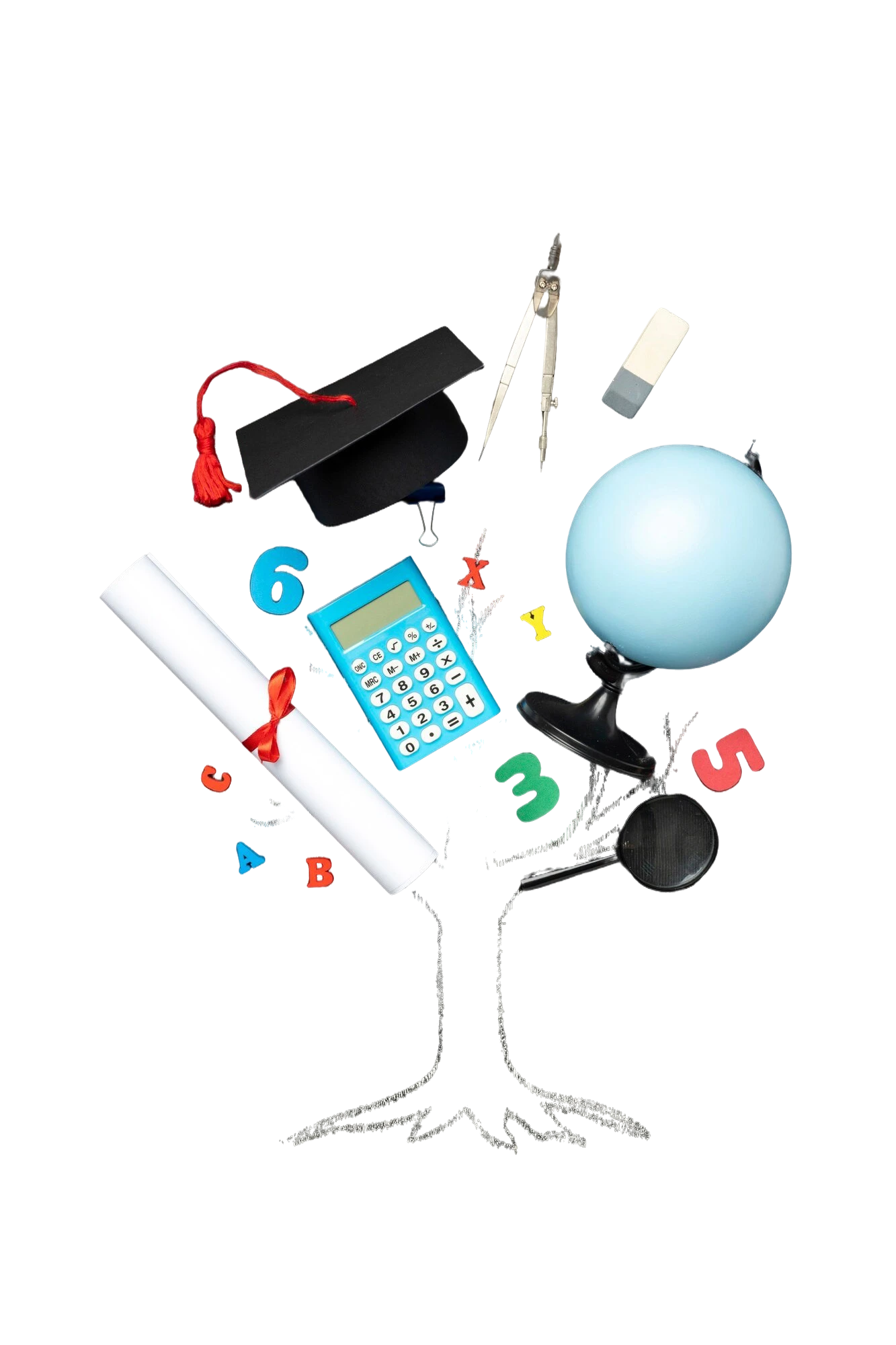 cetli responsibilities